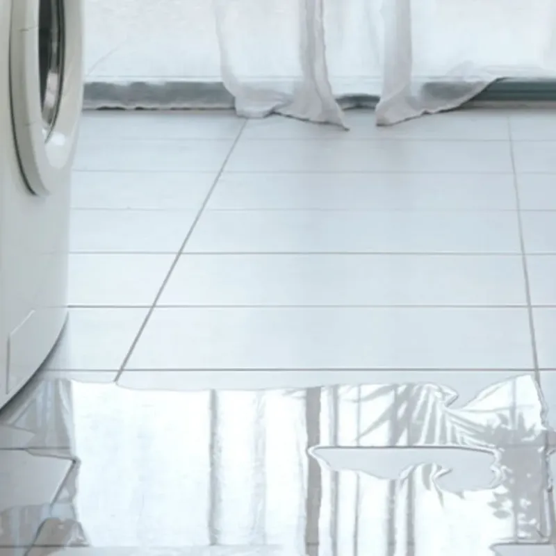 Appliance Leak Cleanup in Wildwood, MO