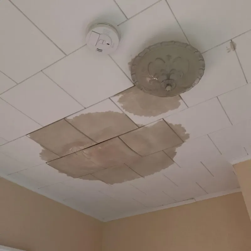 Ceiling Water Damage Repair in Wildwood, MO